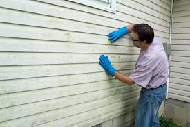 Best Vinyl Siding Installation  in Eureka, KS